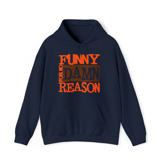 Funny For No Damn Reason Hoodie